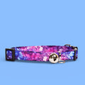 Pet Collar product image 1