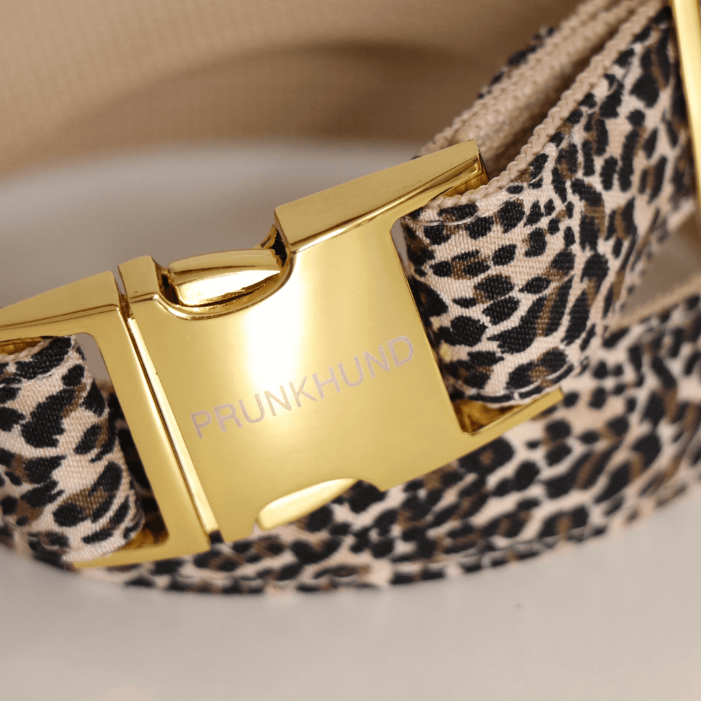 Dog Collar product image 2
