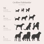 Dog Collar product image 3
