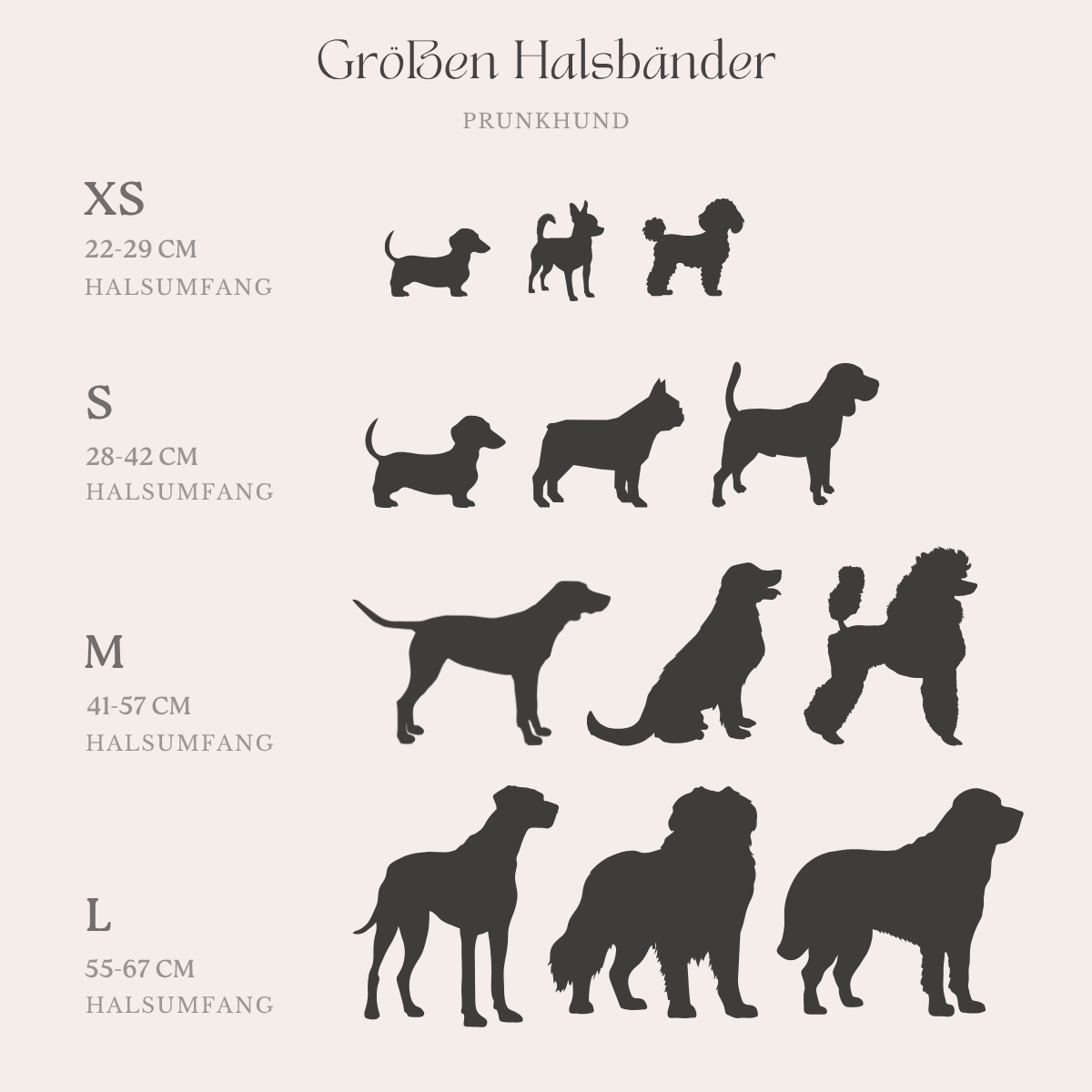 Dog Collar product image 3