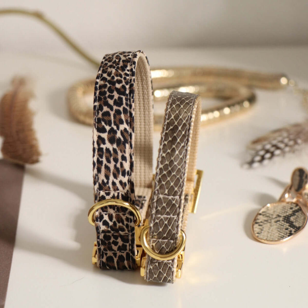 Dog Collar product image 4