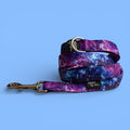Dog Leash product image 1