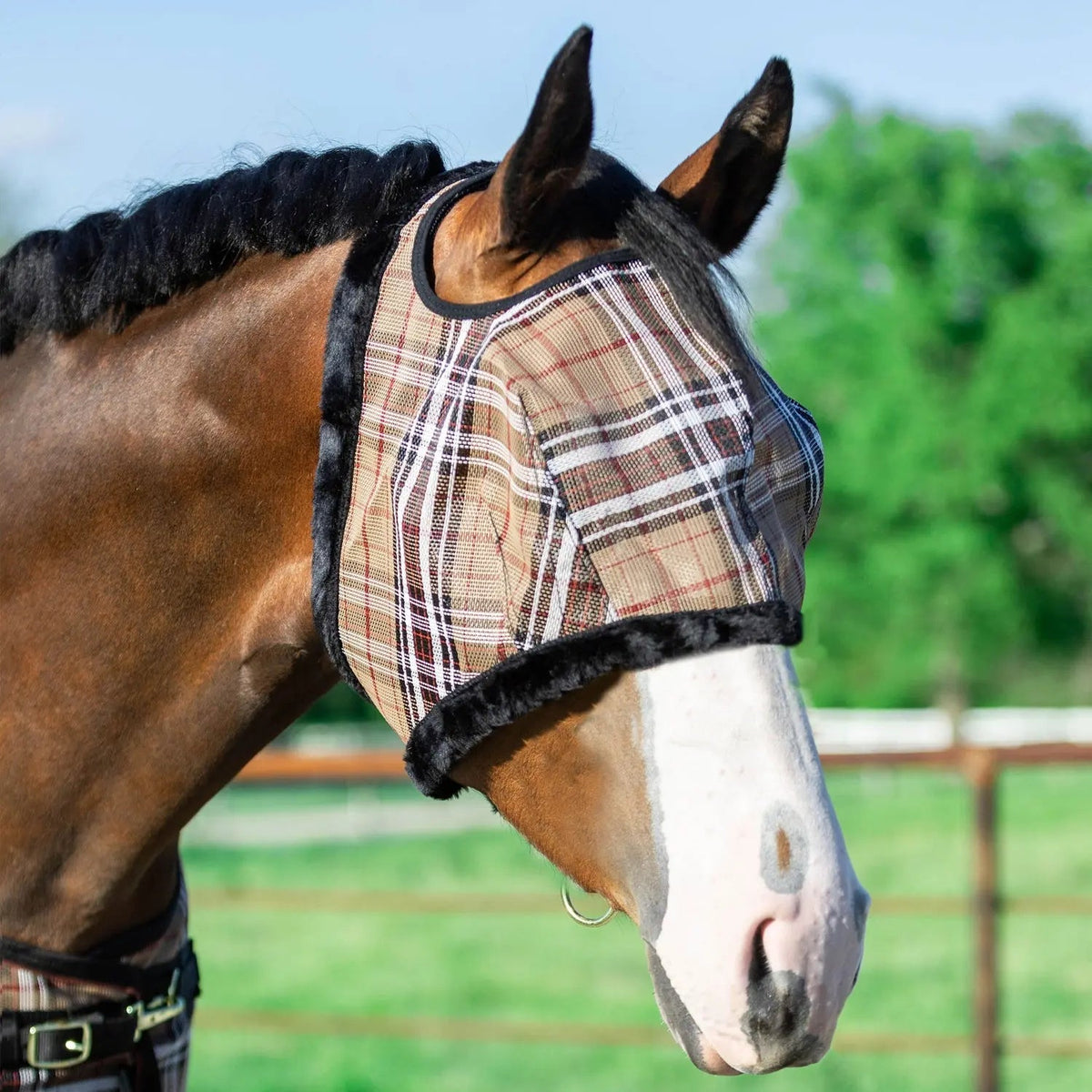 Horse Fly Mask product image 1