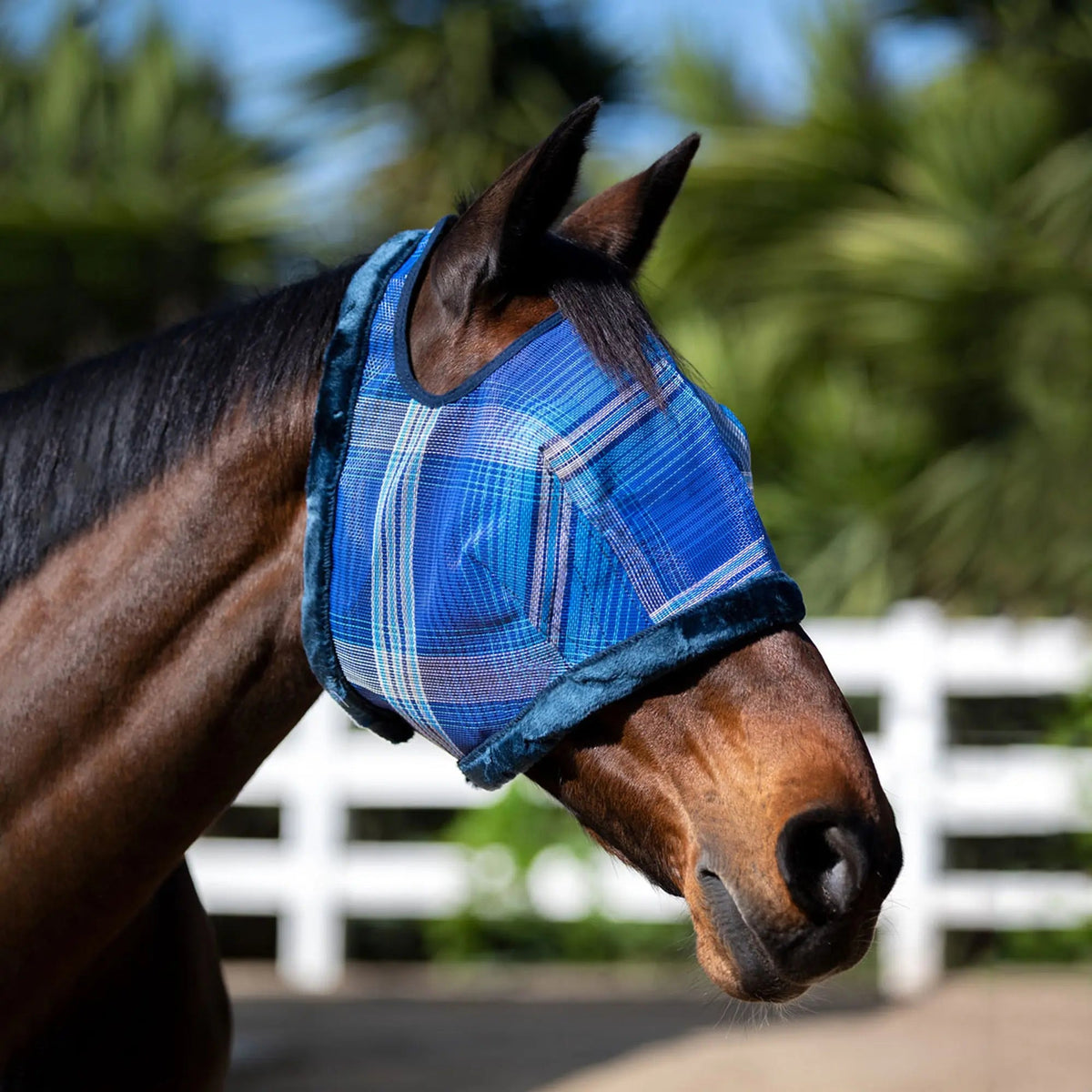 Horse Fly Mask product image 2