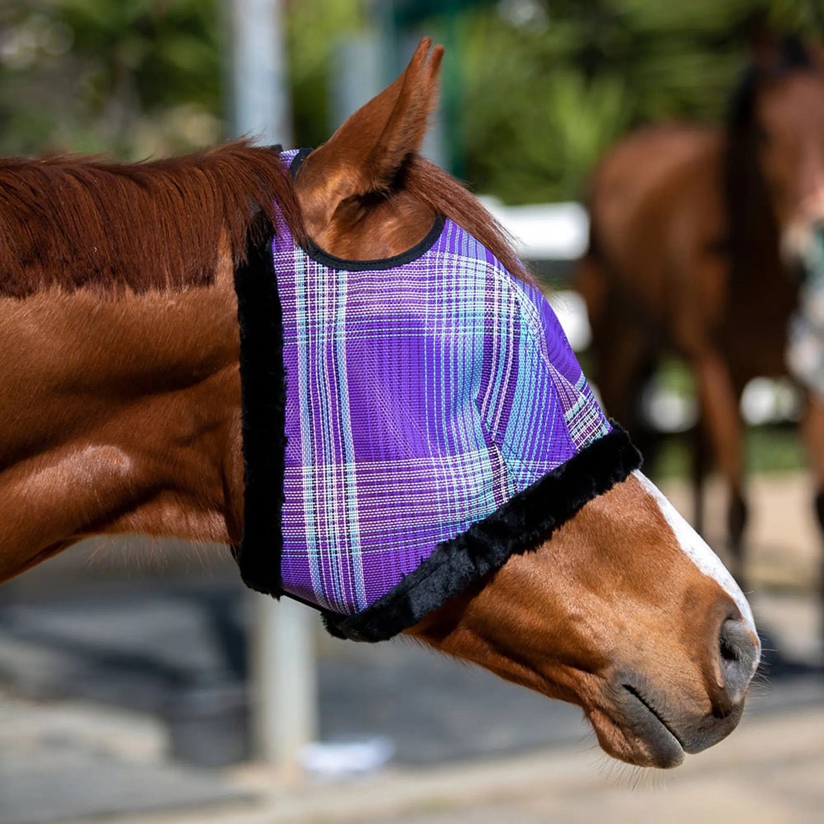 Horse Fly Mask product image 3