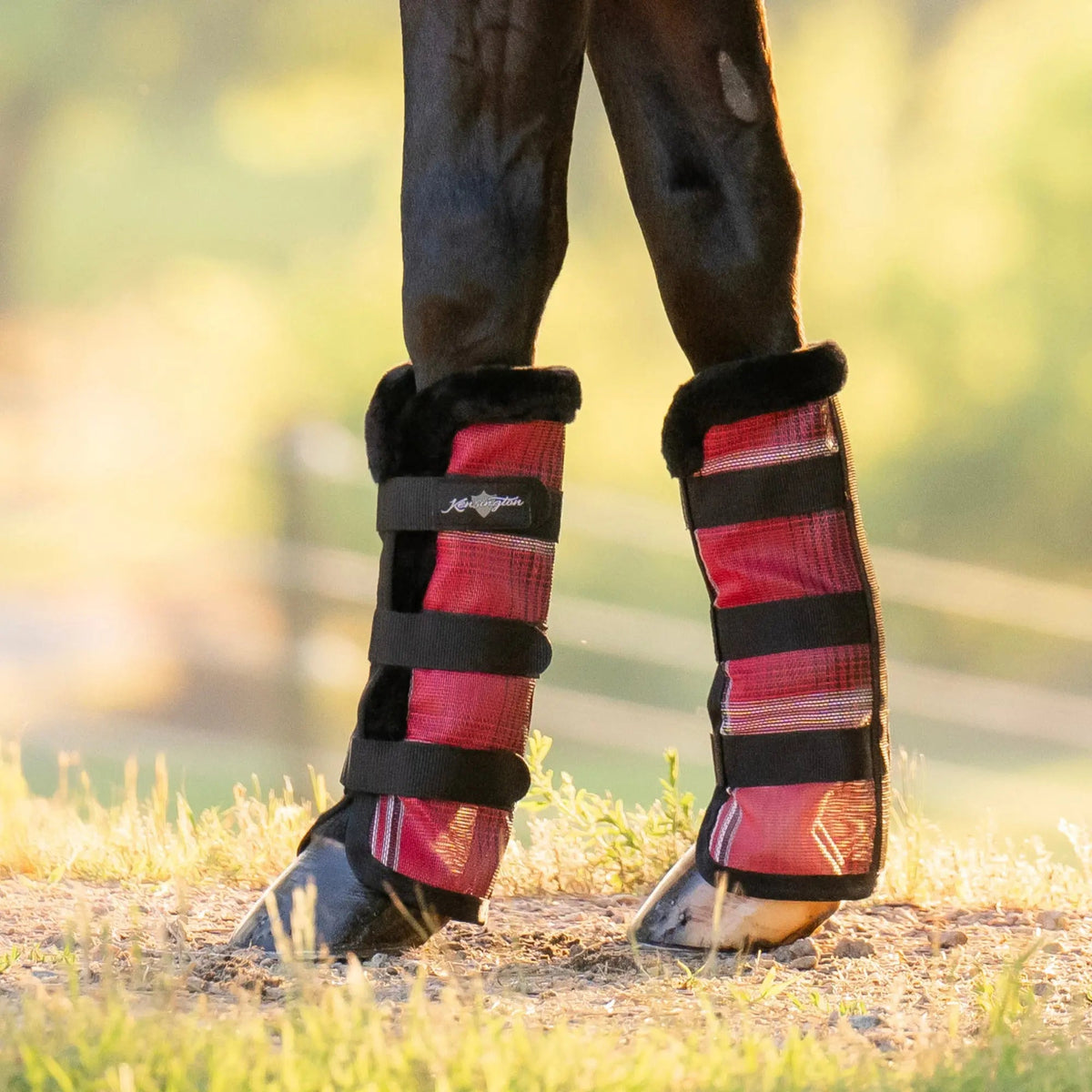 Fleece-Trimmed Horse Fly Boots product image 2