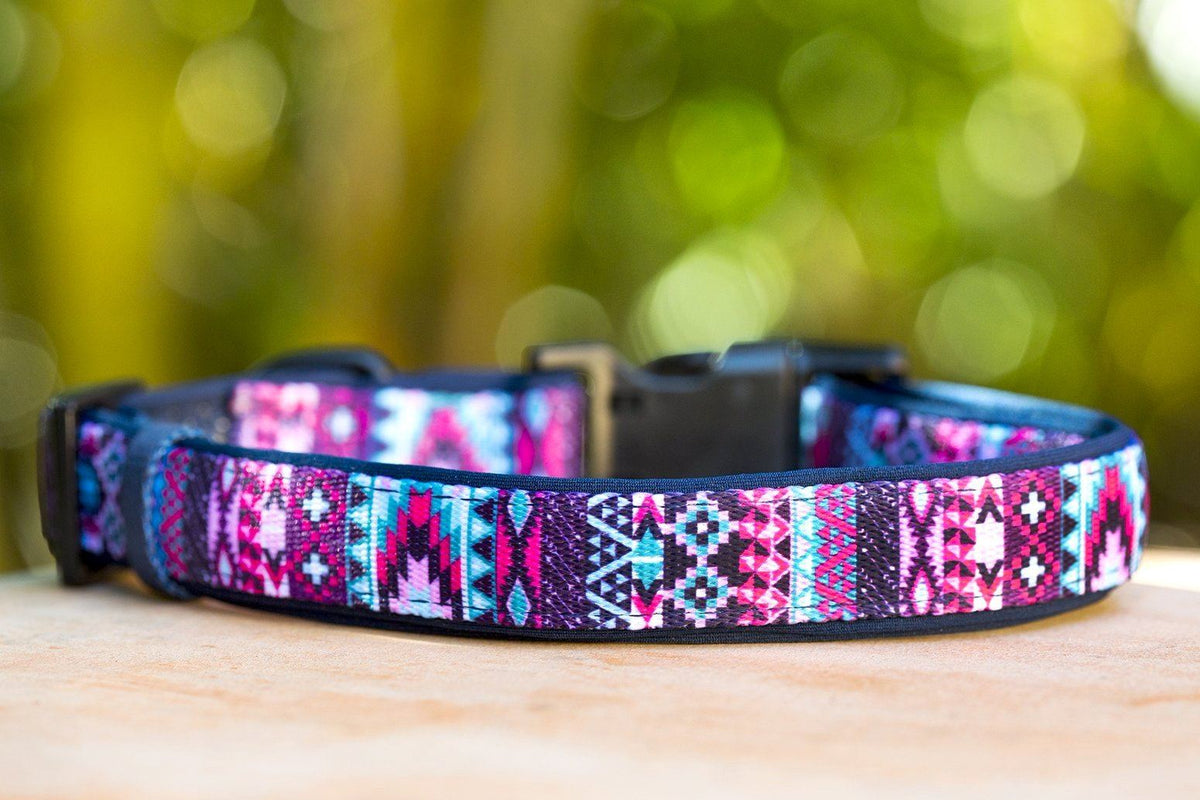 Dog Collar product image 1