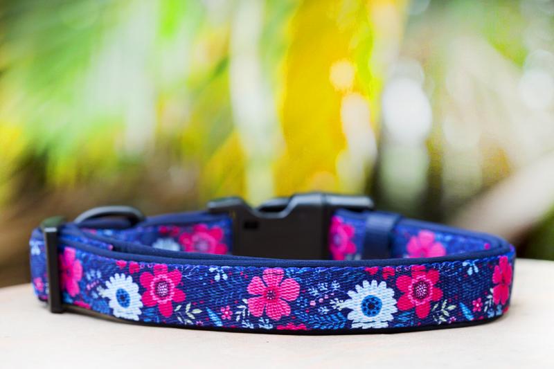 Dog Collar product image 1