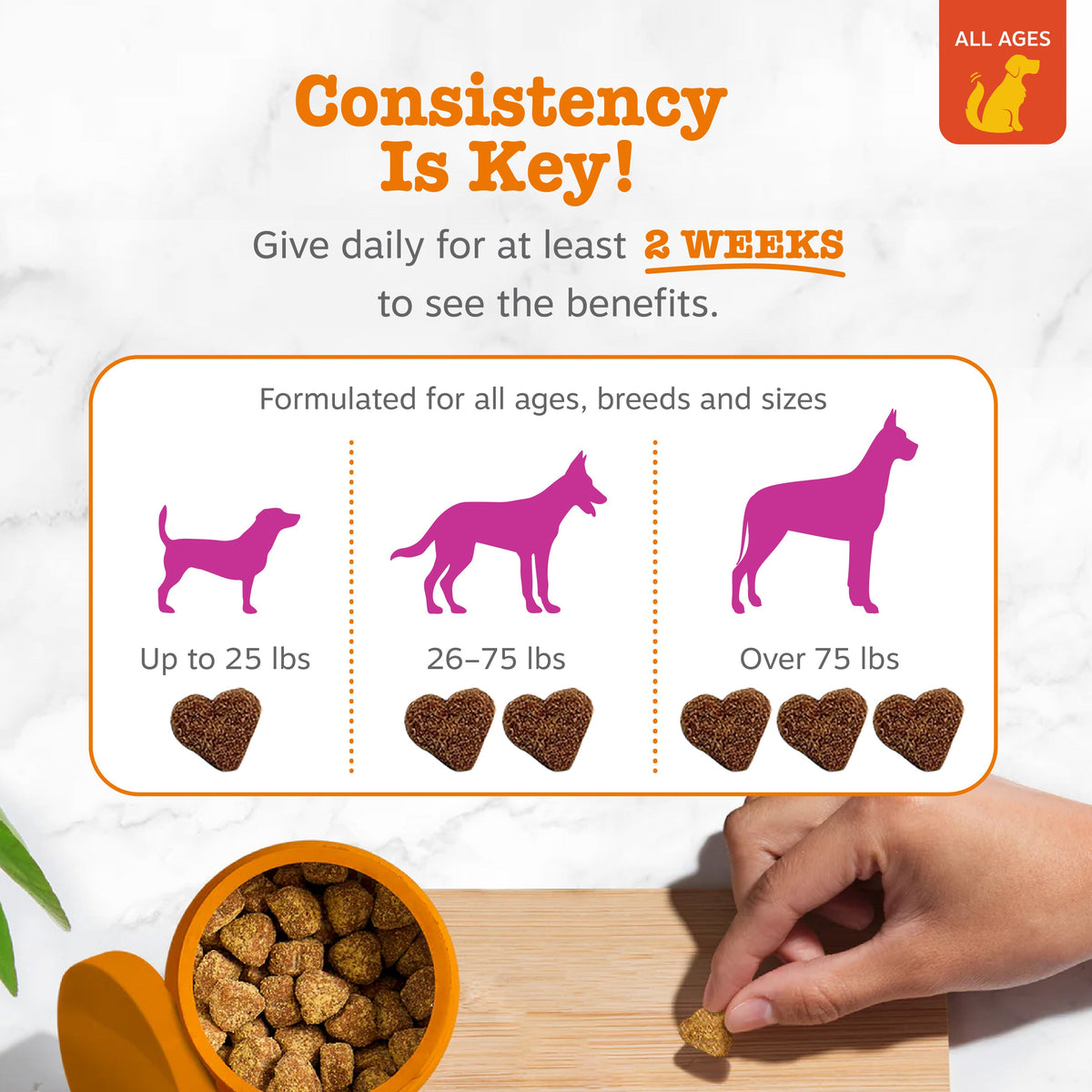 Dog Joint Supplement product image 4