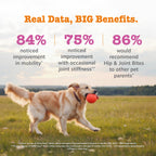 Dog Joint Supplement product image 6