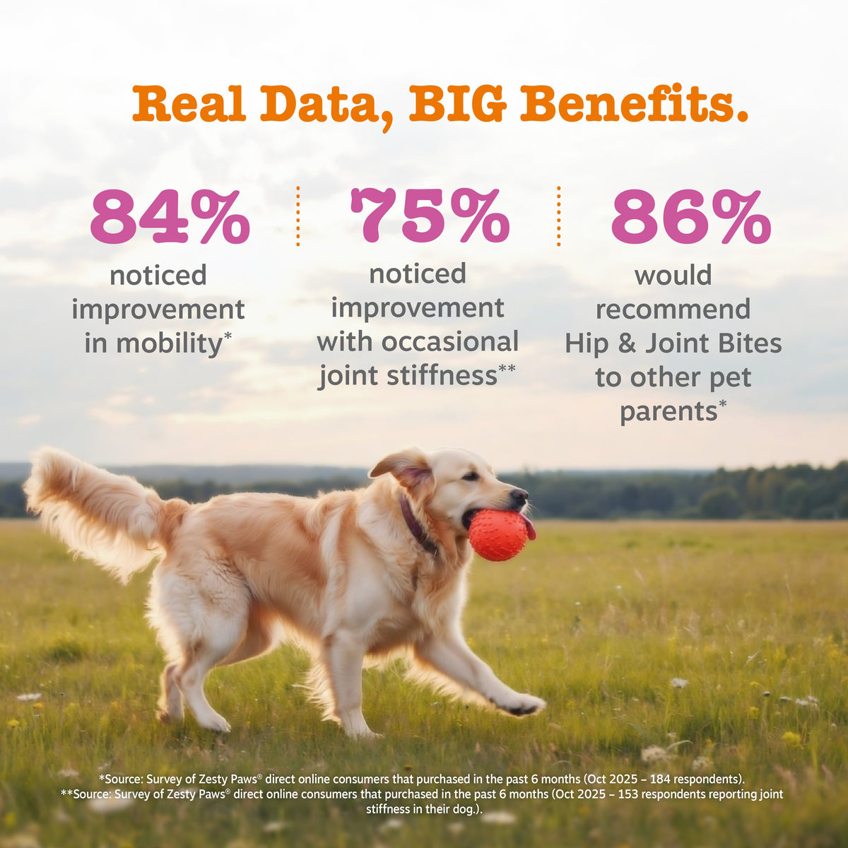 Dog Joint Supplement product image 6