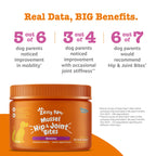 Dog Joint Supplement product image 7