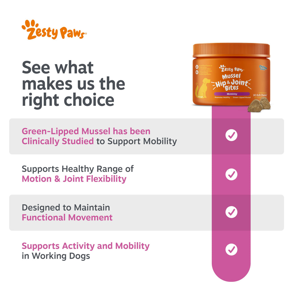 Dog Joint Supplement product image 8