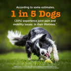 Dog Joint Supplement product image 9