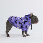 Halloween Dog Hoodie product image 43