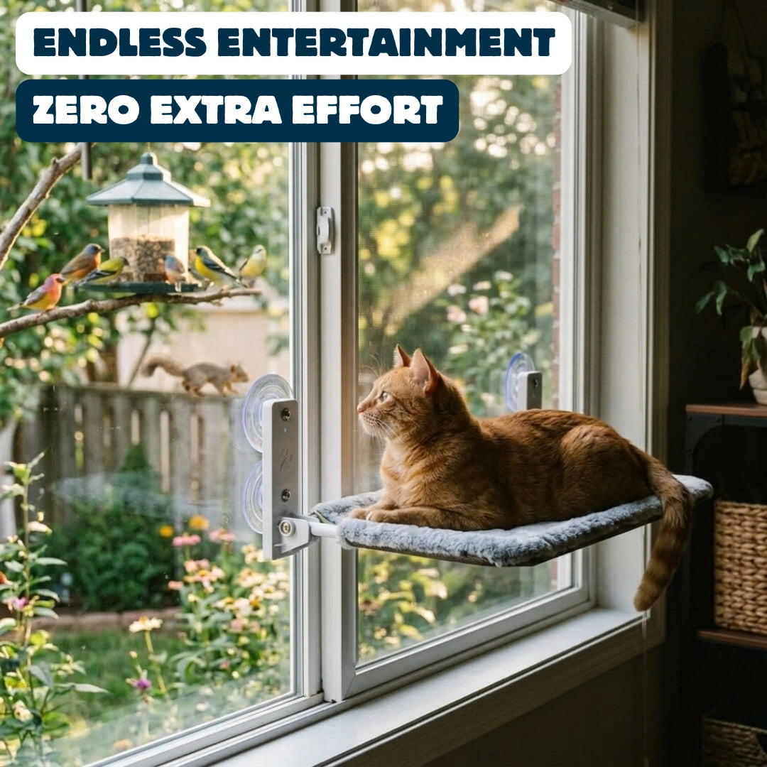 Foldable Window Cat Hammock product image 3
