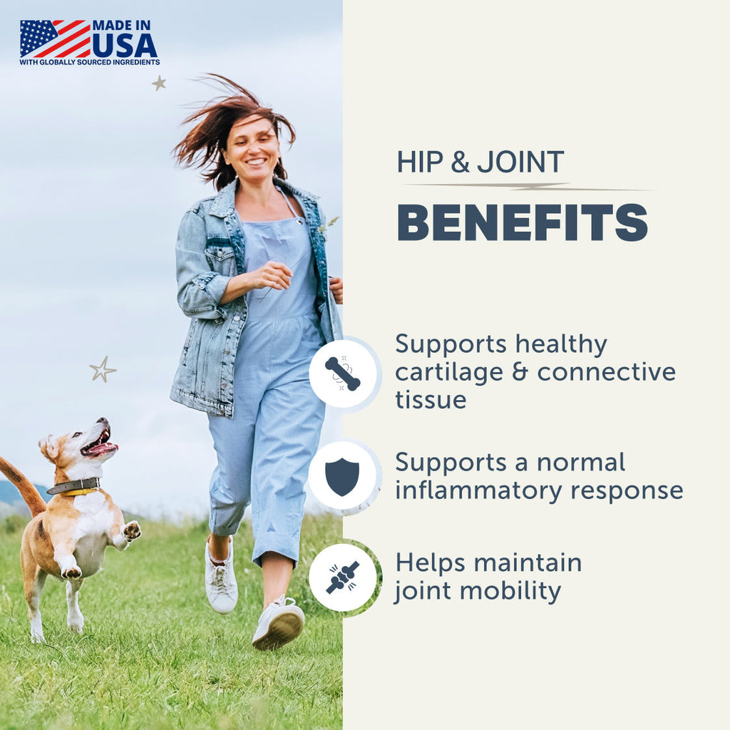 Hip and Joint Supplement Powder for Dogs product image 5