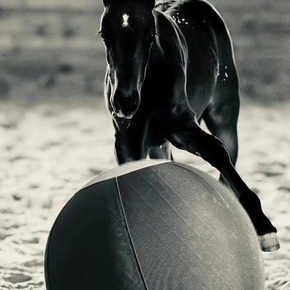 Horse Training Ball 21.7" Anti-Burst Silicone Grazing Ball with Cover & Hanging Belt for Horses Goats Dogs, Large Stable Toy Boredom Buster Ball for Equine Play & Exercise, Blue & Orange