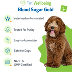 Dog Blood Sugar Supplement for Balanced Levels, Liver and Eye Support in a Gentle Liquid Formula