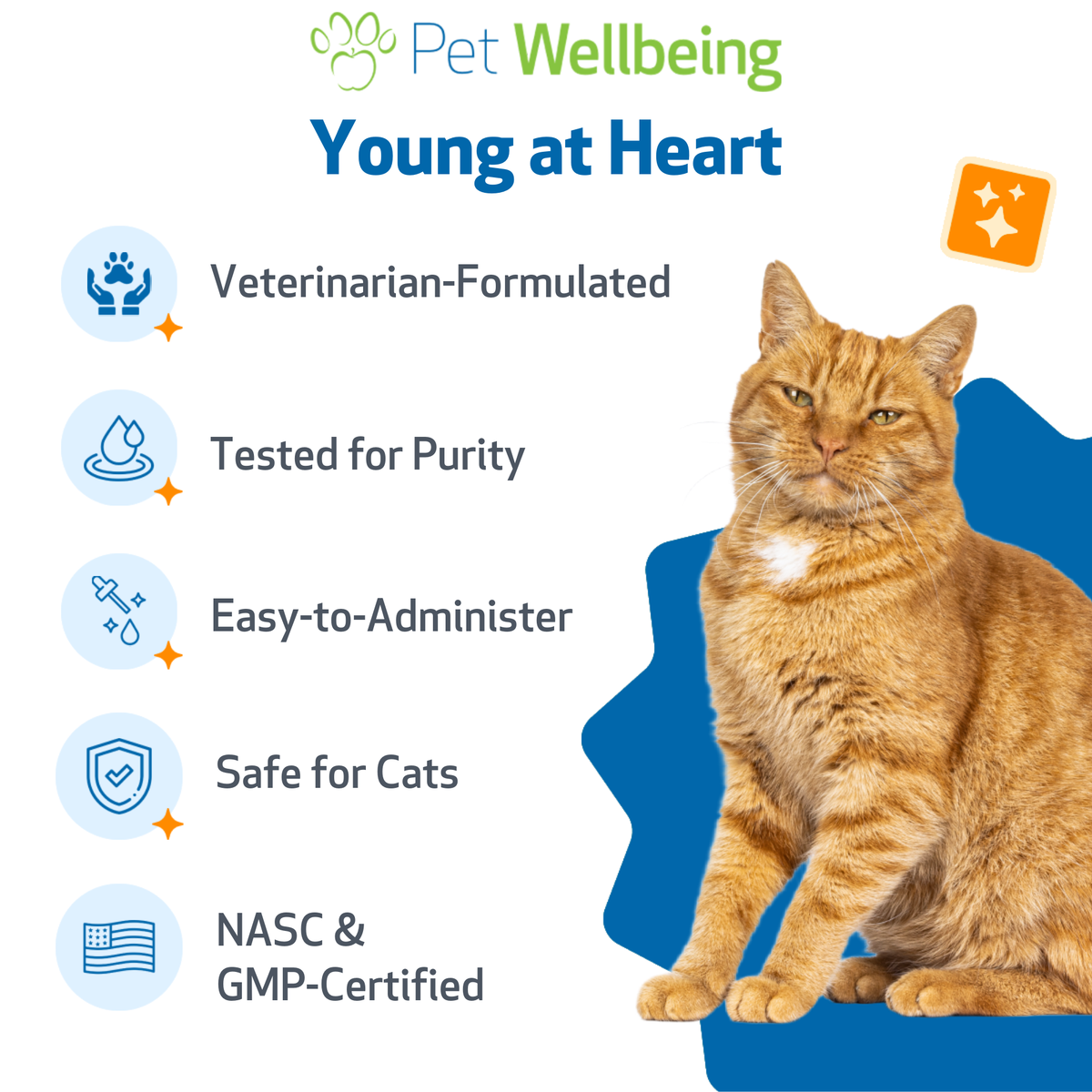 Cat Heart Supplement, Holistic Liquid Cardiovascular Support for Daily Feline Wellness: Bacon Flavor