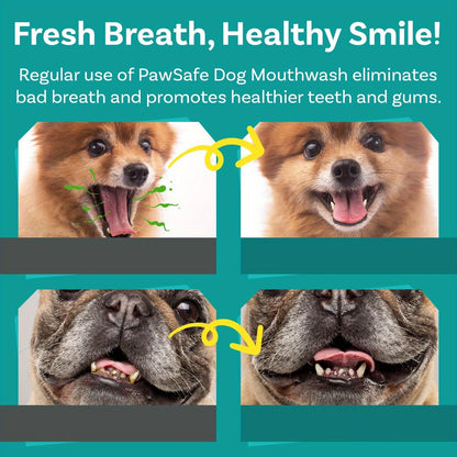 Dog Mouthwash for Fresh Breath with Peppermint Extract - Natural Dental Health Oral Care Liquid, Easy-to-Use Water Additive for Dogs, Freshens Breath & Supports Clean Teeth, 100ml / 3.38oz