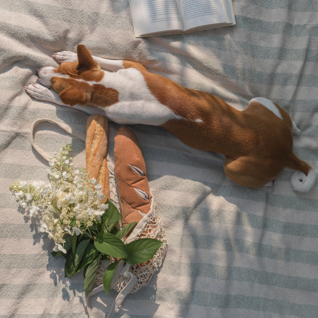 Baguette Enrichment Dog Toy product image 6