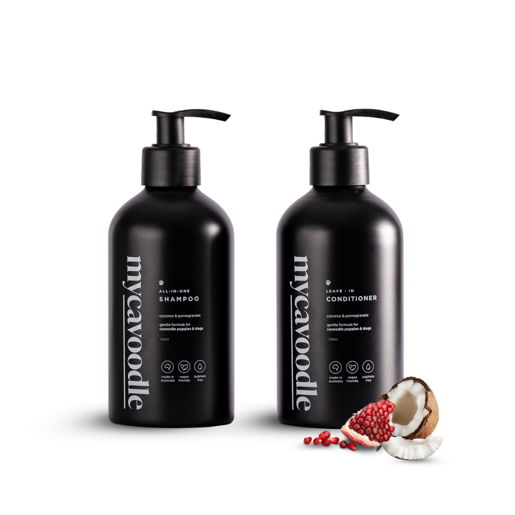 Dog Shampoo and Conditioner Set product image 1