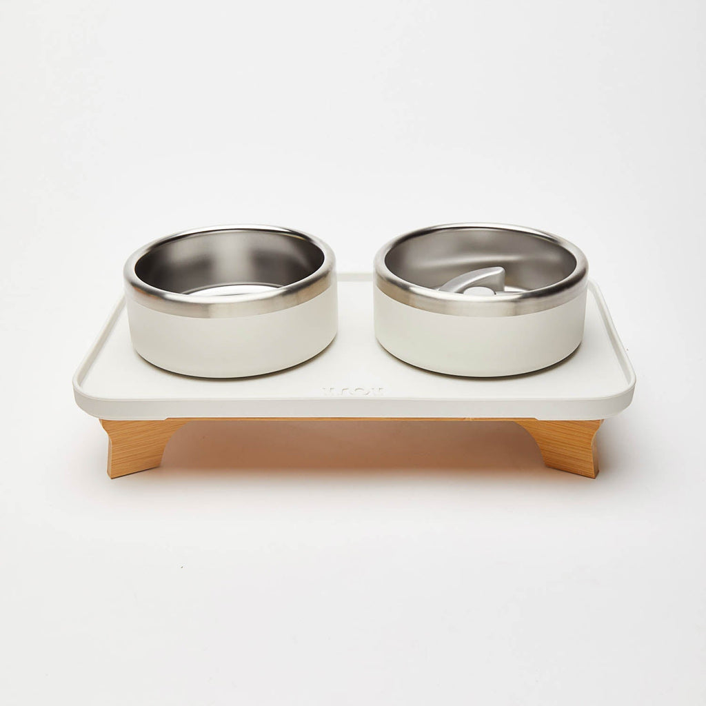 Elevated Pet Slow Feeder and Bowl Set product image 5