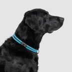 Climbing Rope Slip-On Dog Collar product image 10