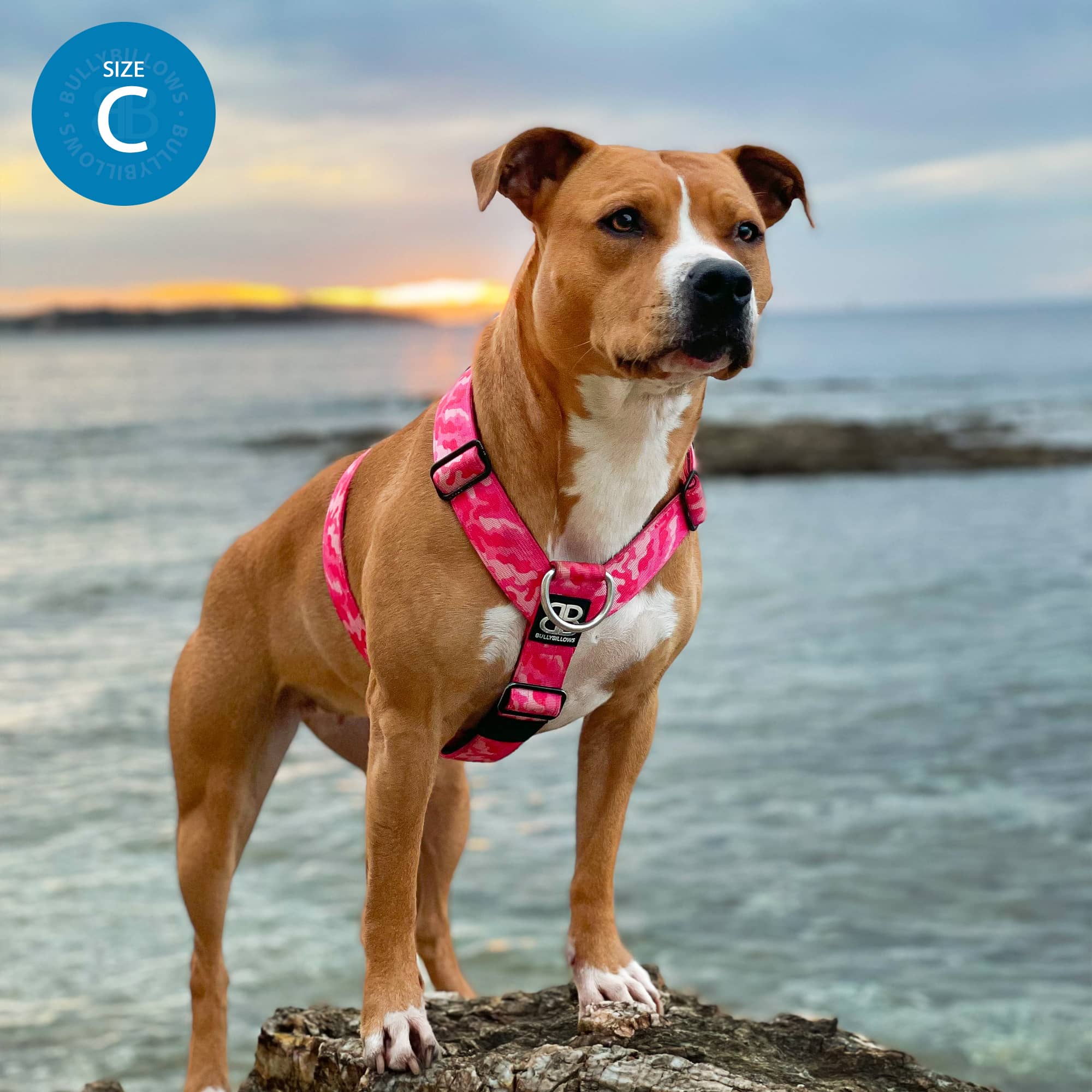 Magenta No-Pull Dog Training Harness product image 5