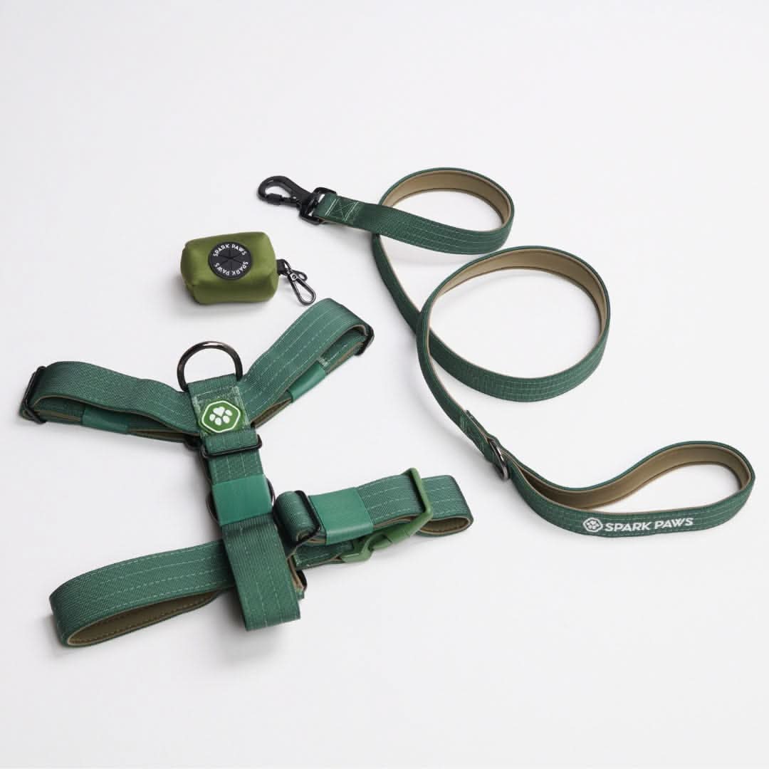 No-Pull Dog Harness Walking Set product image 29
