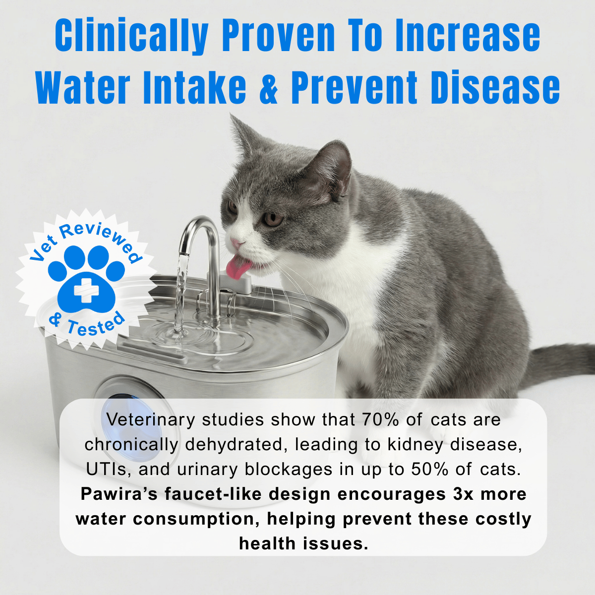 Stainless Steel Pet Water Fountain product image 9