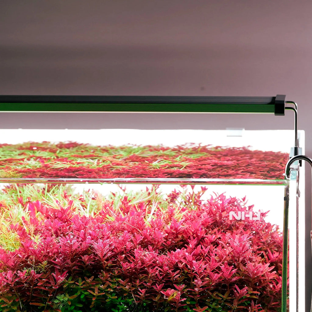 App-Controlled Aquarium LED Light product image 5