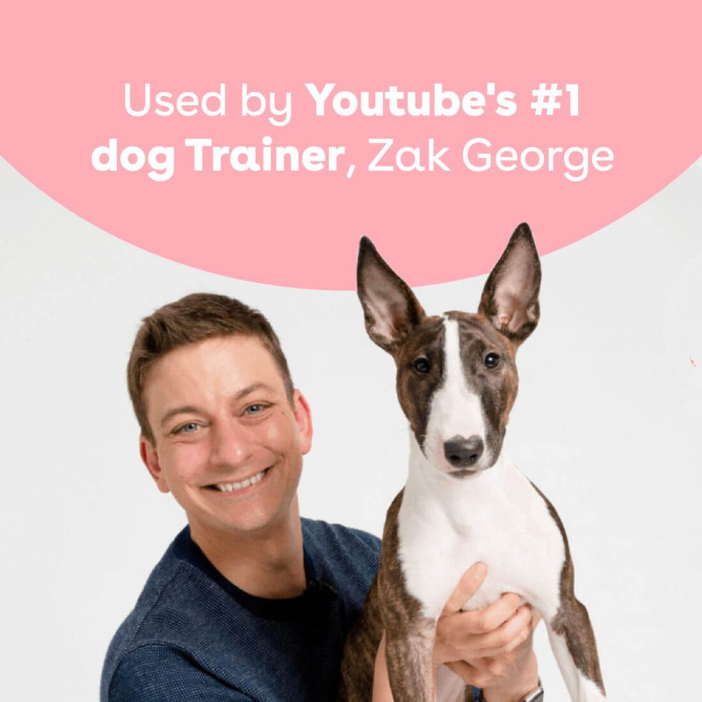 Freeze-Dried Chicken Dog Training Treats product image 7