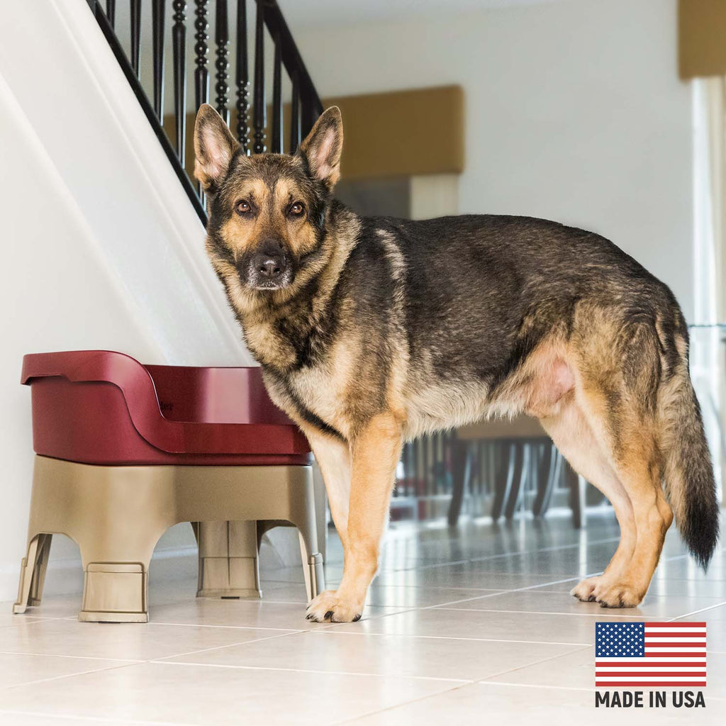 Elevated Spill-Containment Pet Feeder product image 131