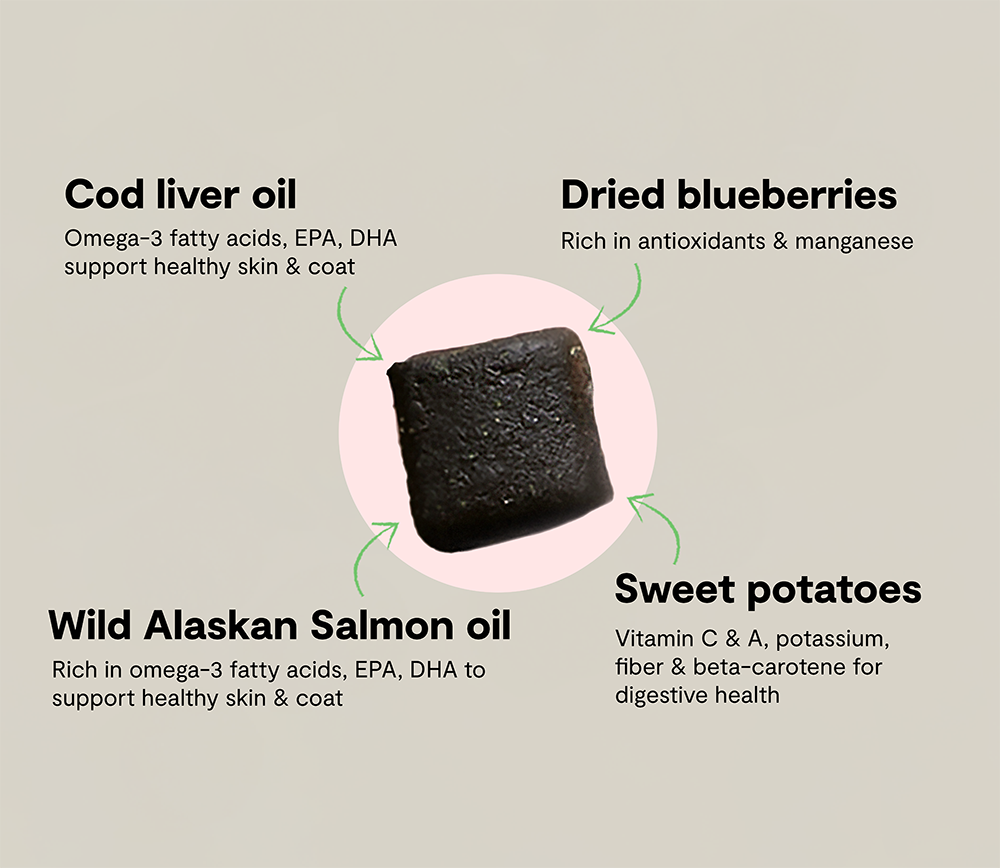 Dog Skin and Coat Supplement Chews product image 5