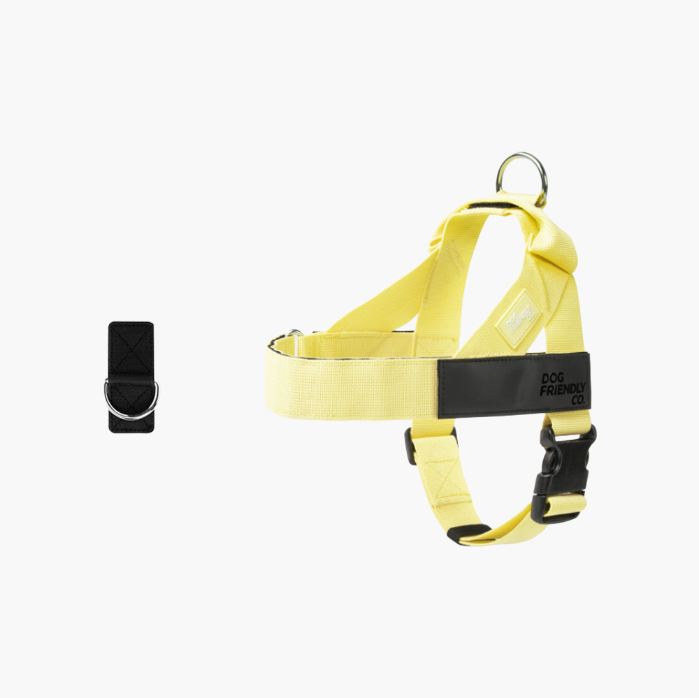 Adjustable Grab-Handle Dog Harness product image 25