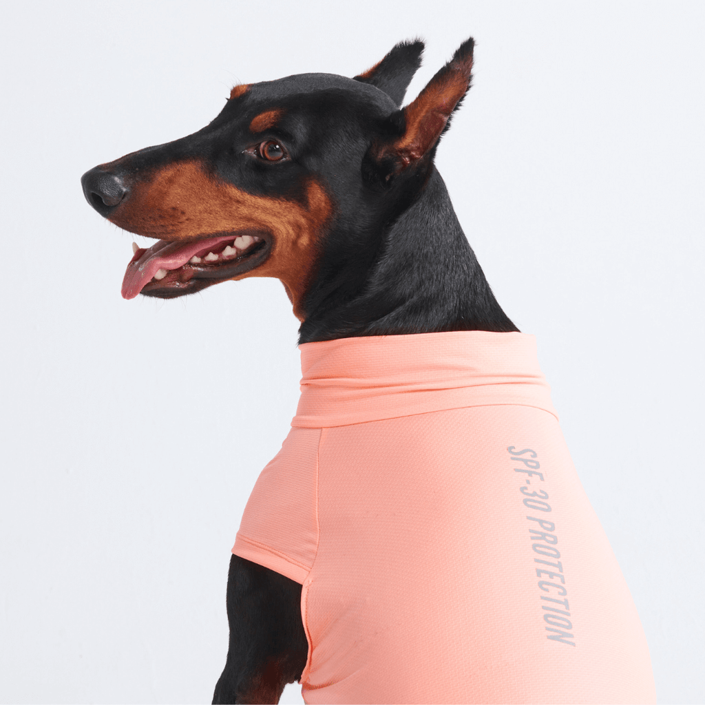UPF 30 Dog Sun Shirt product image 30