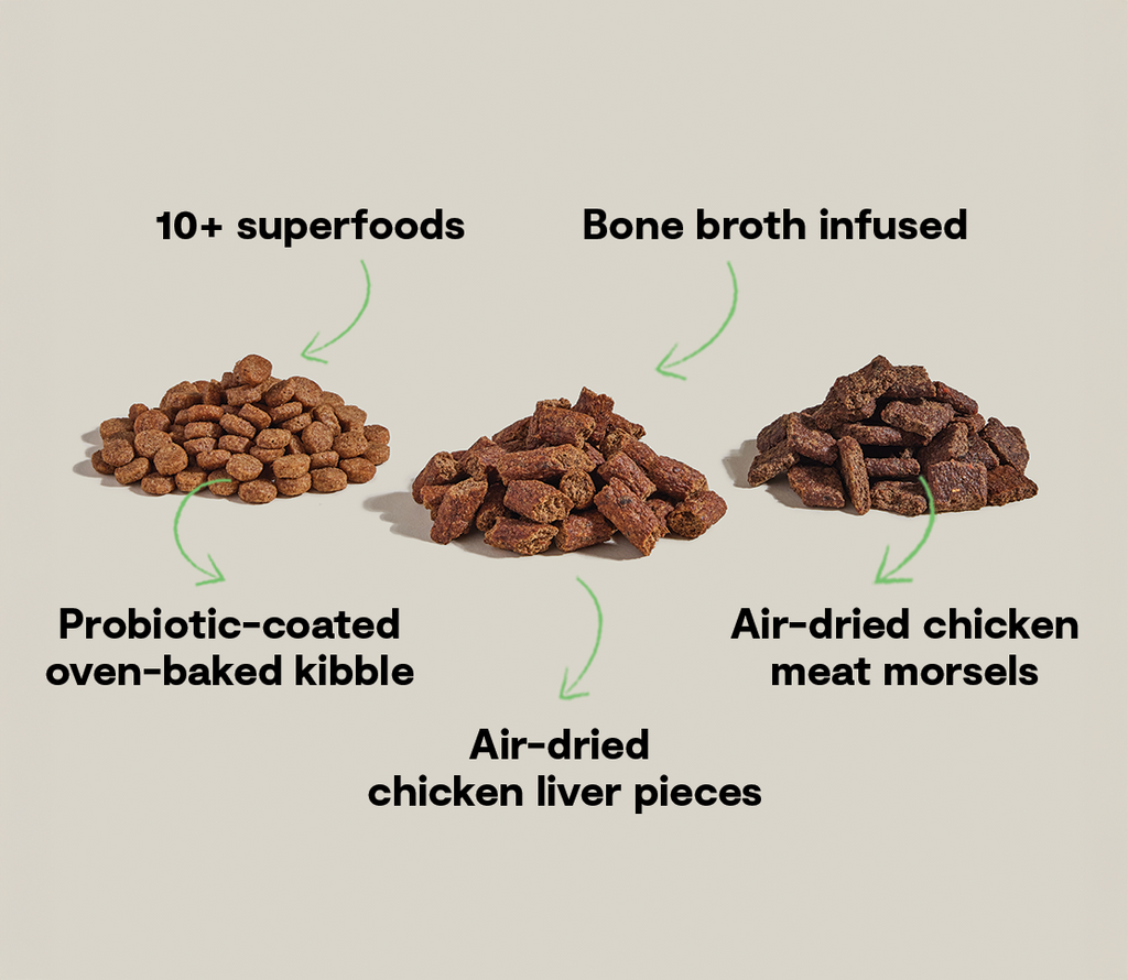 High-Protein Chicken Dry Dog Food product image 4