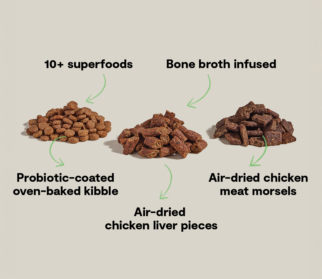 High-Protein Chicken Dry Dog Food product image 4