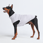 UPF 30 Dog Sun Shirt product image 22