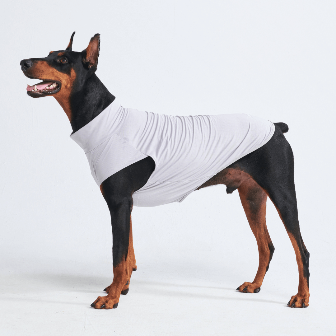 UPF 30 Dog Sun Shirt product image 22