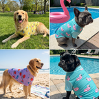 UPF 30 Dog Sun Shirt product image 22