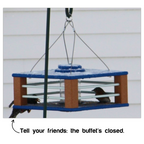 Eastern Bluebird Mealworm Feeder product image 5