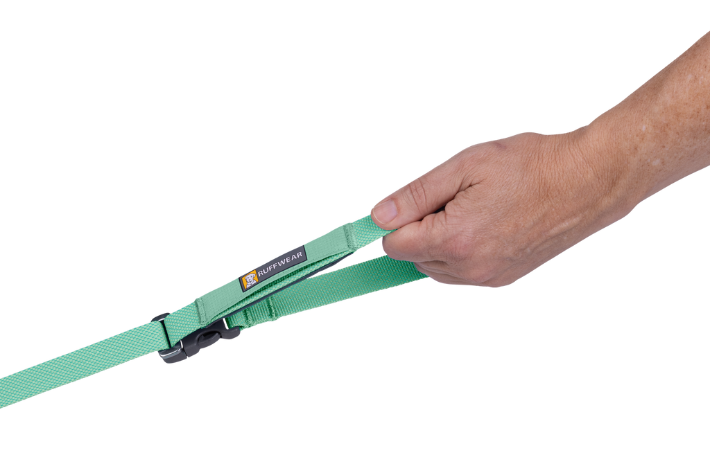 Hands-Free Dog Leash product image 29