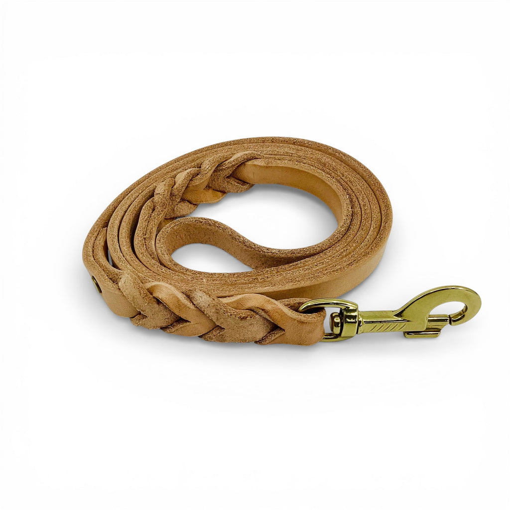 Dog Leash, 5-Foot Braided Leather Lead for Training and Everyday Walks, Natural Veg Tan Leather and Brass Hardware