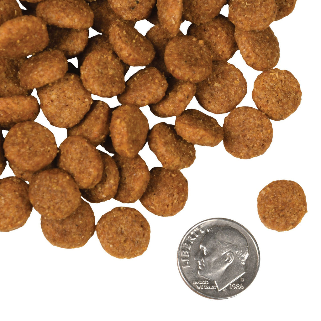 Dry Dog Food product image 6
