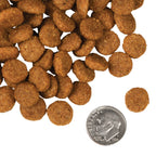 Dry Dog Food product image 6