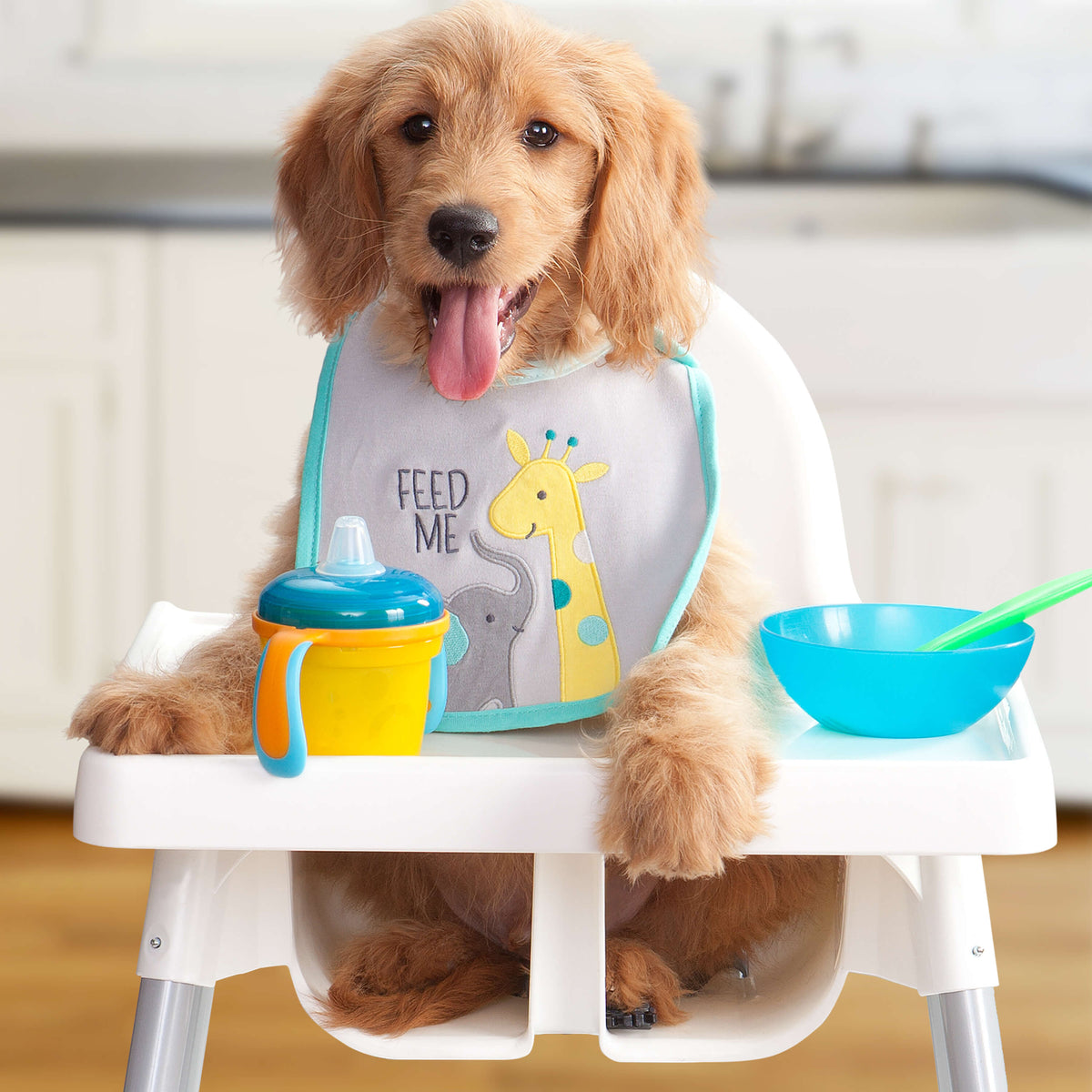 Dry Puppy Food product image 2