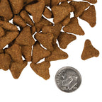 Dry Dog Food product image 4